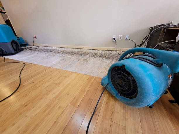 Professional Basement Flood Cleanup technician working in El Cerrito, CA
